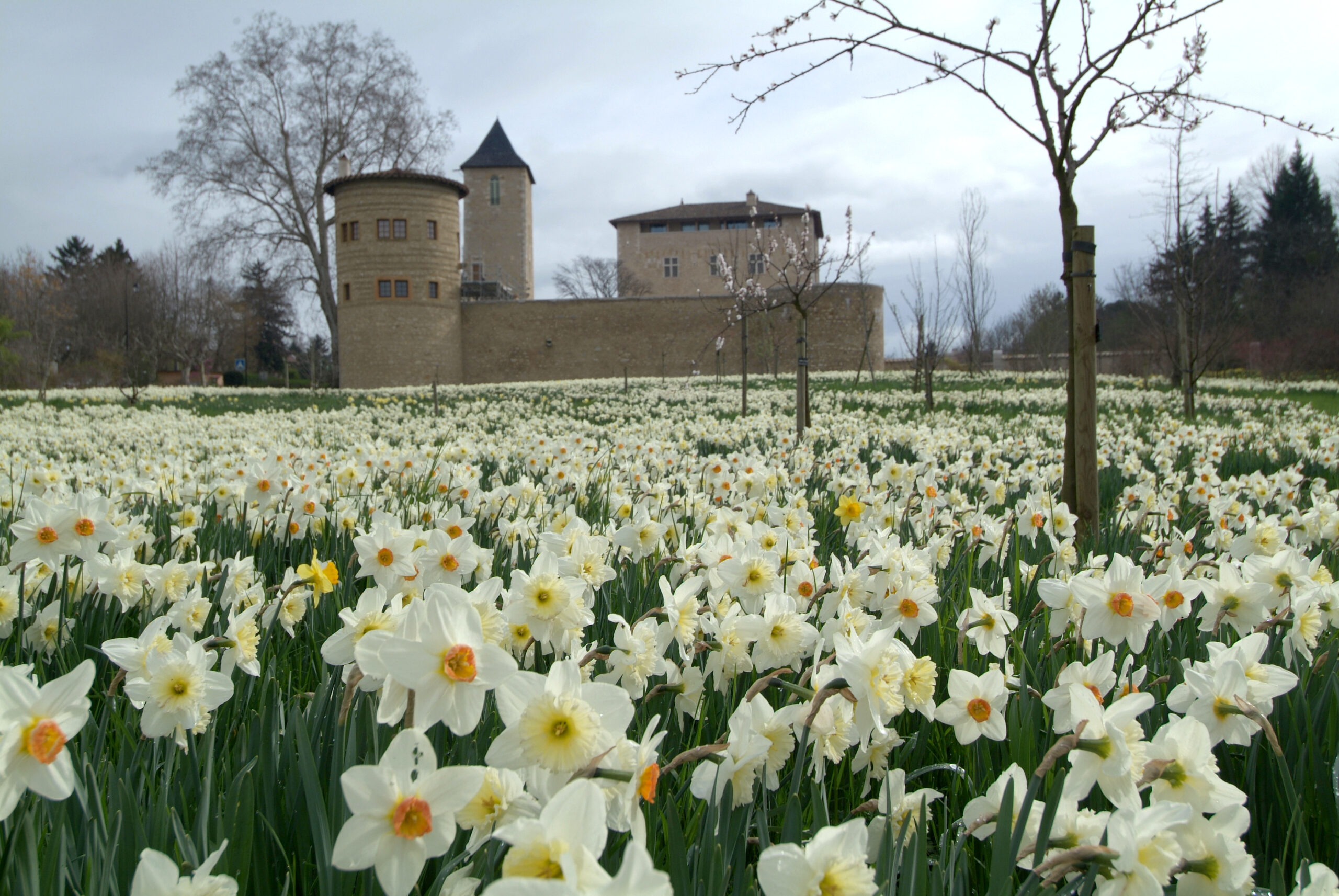 chateau de Saint-Bernard